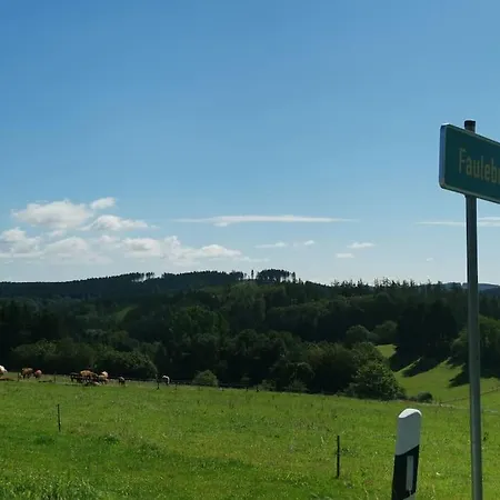 Ferienhaus Auszeit, Erholung Mitten In Der - Im Sauerland In Faulebutter Finnentrop