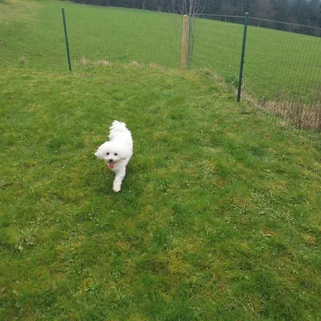 Auszeit, Erholung Mitten In Der - Im Sauerland In Faulebutter Ferienhaus