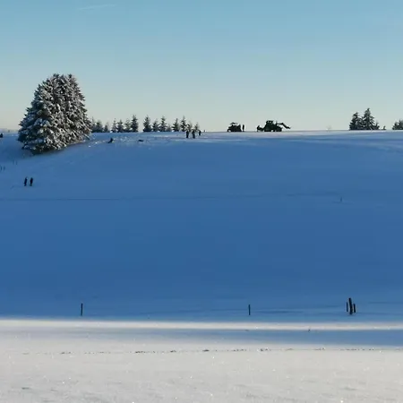بيت للعطل Auszeit, Erholung Mitten In Der - Im Sauerland In Faulebutter *