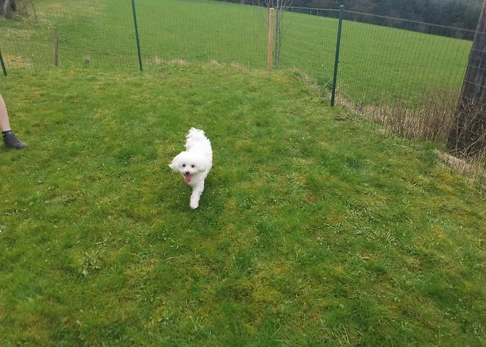 Auszeit, Erholung Mitten In Der - Im Sauerland In Faulebutter Holiday home