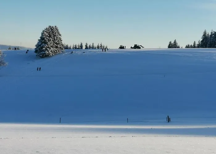 Dom wakacyjny Auszeit, Erholung Mitten In Der - Im Sauerland In Faulebutter *