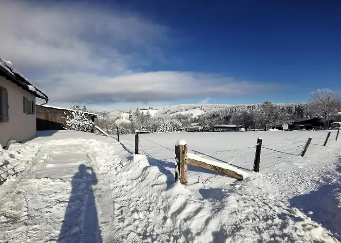 Holiday home Auszeit, Erholung Mitten In Der - Im Sauerland In Faulebutter *