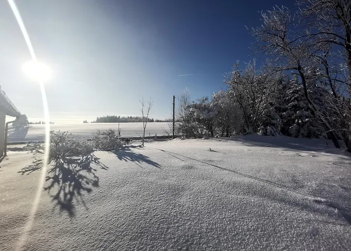 Holiday home Auszeit, Erholung Mitten In Der - Im Sauerland In Faulebutter *