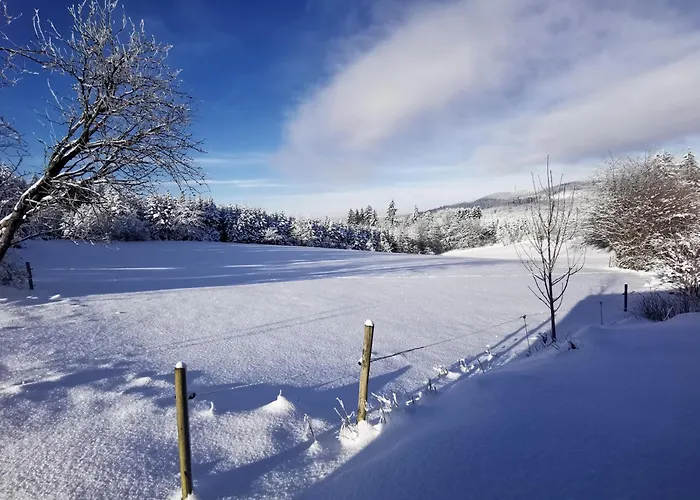 Auszeit, Erholung Mitten In Der - Im Sauerland In Faulebutter * Finnentrop